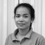 © ARV Users Association